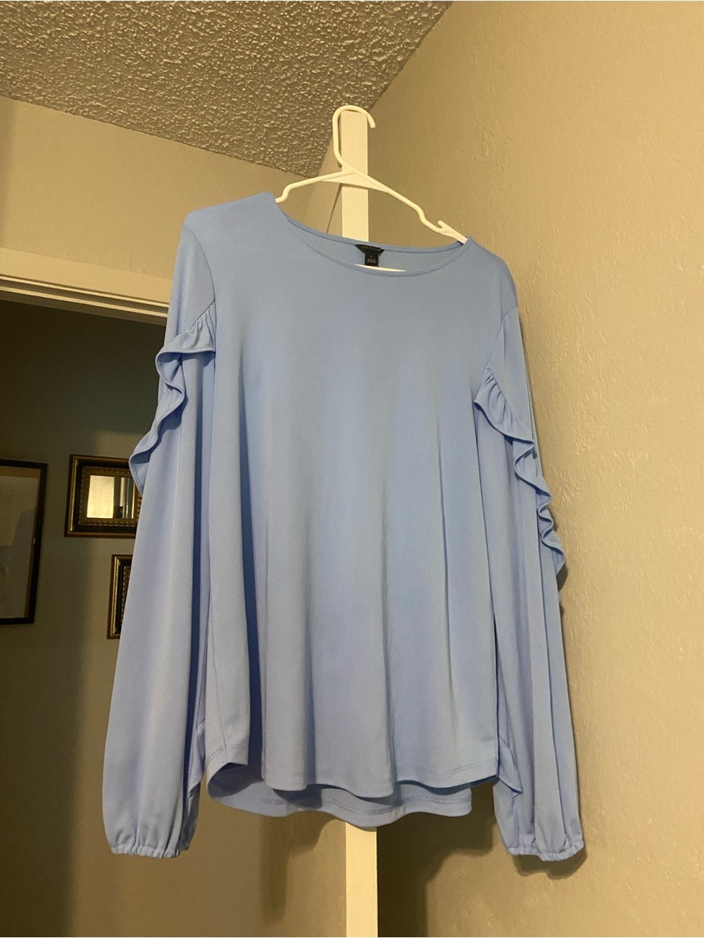 Ann Taylor Powder Blue Ruffle-Trim Long Sleeve Top